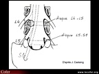 Anatomie lombo-radiculaire