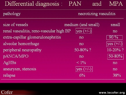 Vascularites : diagnostic différentiel entre périartérite noueuse et micropolyangéite
